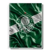 caderno 10 materias 160 folhas plameiras com poster capa dura