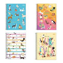 Caderno cd univ hug me 1m 80f