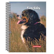 Caderno de 10 Matérias Cães e Gatos 160 Folhas Capa Dura