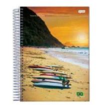 Caderno De 20 Materias 400fls Brasilidade Capas Sortidas