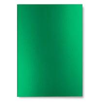 Caderno de Anotação Colormat-X Pautado A5 Verde