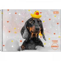 Caderno De Cartografia E Desenho Zoom+ 96fls Capa Sortida