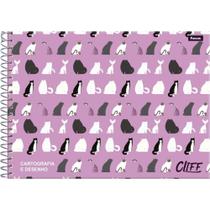 Caderno de Desenho UNIV Capa Dura CLIFF MASC/FEM 80 Folhas Pacote com 4