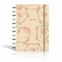 Caderno de Discos Oficial Capivara Capilove Médio mod:mod-2