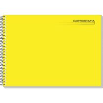 Caderno Desenho UNIV Capa Dura Amarelo Liso 48F Espiral