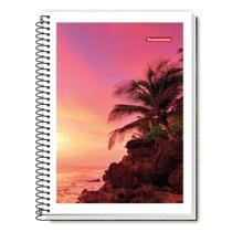 Caderno Espiral 1/4 Cd 96fls 3138 - Panamericana