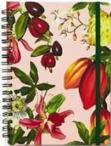 Caderno espiral frutos pautado 17x24 cacau