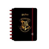 Caderno Inteligente 1/4 1x1 80 Fls Jandaia - Harry Potter 1