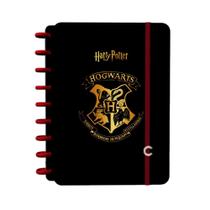 Caderno Inteligente Colegial 1x1 80 Fls Jandaia - Harry Potter 1
