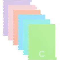 Caderno Inteligente Divisorias Grande 6 Materias Colors