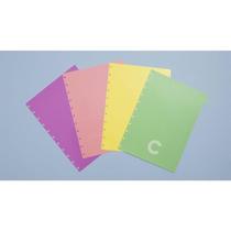 Caderno inteligente divisorias grande pastel c/4 unid. caderno inteligente