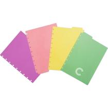 Caderno Inteligente Divisórias Médio Pastel com 4 Unidades