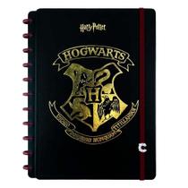 Caderno Inteligente Harry Potter Hogwarts 80Fls - Grande