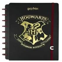 Caderno inteligente univ 1x1 80fls 01/pt harry potter fsc jandaia 75738 24