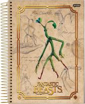 Caderno Jandaia universitário fantastic beasts 160 folhas