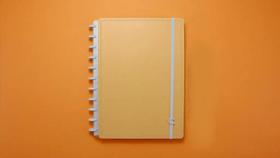 Caderno - Laranja Pastel - Grande - Caderno Inteligente