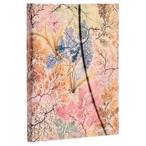 Caderno Paperblanks Anemone Lined Ultra 120g Pautado 144 Paginas