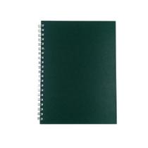 Caderno Prime Royal Paper Pautado 100Fls 18,5x25,5cm Verde