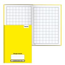 Caderno quadriculado 40 folhas 2x2cm cd - tamoio