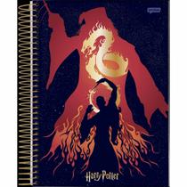 Caderno universitário 1 matéria 96 folhas Harry Potter Jandaia