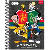 Caderno Universitário 15x1 240 Folhas Warner Bros Hogwarts