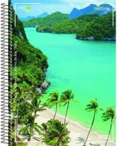 Caderno universitario 1m cd ba 96f freedom sao domingos 10173