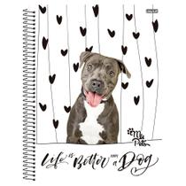Caderno Universitário 1x1 80 Fls C.D. São D. - My Pets 12 Caderno Universitário 1x1 80 Fls C.D. São D. - My Pets 12