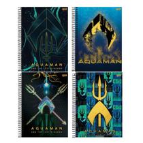 Caderno Universitario Aquaman 1 Matéria CD - Jandaia