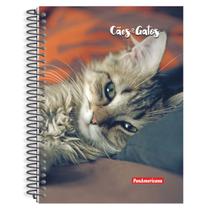 Caderno Universitário Cães e Gatos 12 Matérias 168 Folhas