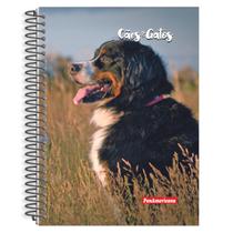 Caderno Universitário Cães e Gatos 12 Matérias 168 Folhas