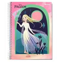 Caderno Universitário Jandaia Frozen 1 Matéria 80 Folhas - Diversas Capas