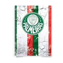 Caderno Universitário Palmeiras 1 Matéria 80 Folhas - Credeal