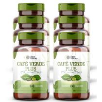 Café Verde Plus -60 Cáps Kit Com 6 Potes - Lider Vendas