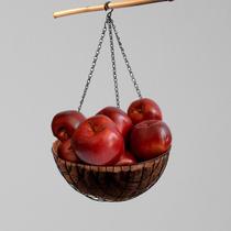 Caixa 5 Frutas Permanentes Maçã Argentina Arranjos Cores Vivas e Aparência Real fruta de mentira- DE0523