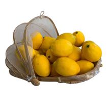 Caixa 5 Limões siciliano Artificial 10cm Resistentes e Versáteis para Decoração permanente Temática