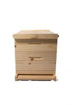 Caixa abelha apis pinus langstroth conjunto