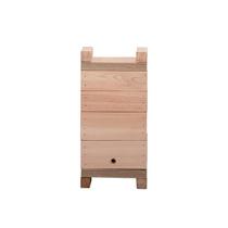 Caixa Abelha Completa Ninho + Melgueira Jatai Beeth