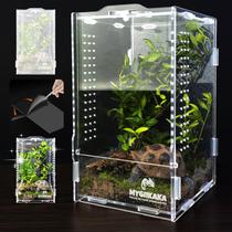Caixa acrílica Spider Habitat MYGIIKAKA 20x12x11cm Caixa acrílica Spider Habitat MYGIIKAKA 20x12x11cm