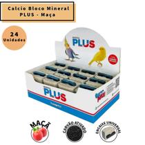 Caixa c/ 24 Blocos de Calcio Mineral Plus Saborizados - Passaros