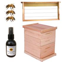 Caixa Colmeia 2 Melgueiras Abelha Com Cera e Atrativo
