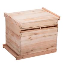 Caixa Colmeia Abelha Coletor de Propolis Apis Completa