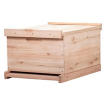 Caixa Colmeia Ninho Abelha Europeia Africana Apis