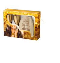 Caixa com Cooler e 2 Taças para Espumante em PS Metalizado 250ml Boccati