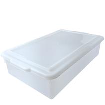 CAIXA COM TAMPA 16,5L ORGANIZADORA BIOPRATIKA 32,3x12x53,3CM 0630