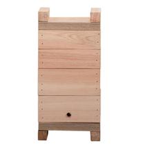 Caixa De Abelha Inpa 12x12 Abelha Sem Ferrão Eucalipto