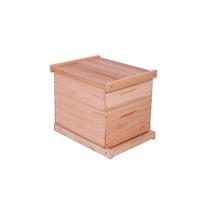 Caixa de Abelha Padrão Langstroth Eucalipto KIT ARAME E ILHÓS