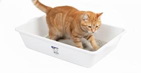 Caixa De Areia Aberta Grande Para Gato Bandeja Higiênica Caixa De Areia Aberta Grande Para Gato Bandeja Higiênica