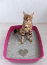 Caixa de Areia para Gatos Bandeja Higienica facil Limpeza Resistente Furacao Pet - ROSA