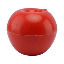 Caixa de Armazenamento de Alimentos Plástica Selada - Organizador de Alimentos com Recipiente