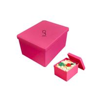 Caixa De Arrumação Multiuso Plástico Pequena Retangular 5UND